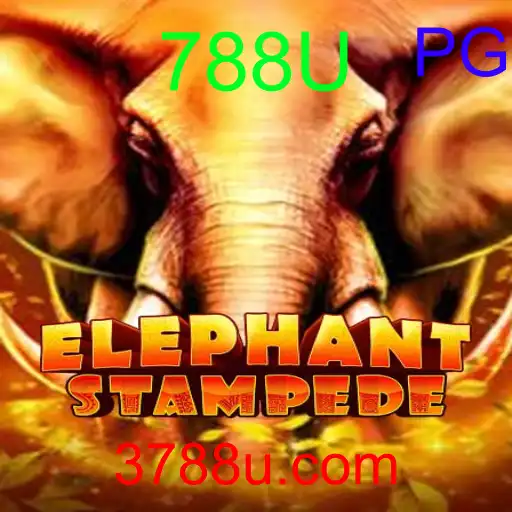 ElephantStampede